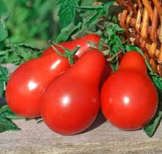 Hruštičky červené Radana